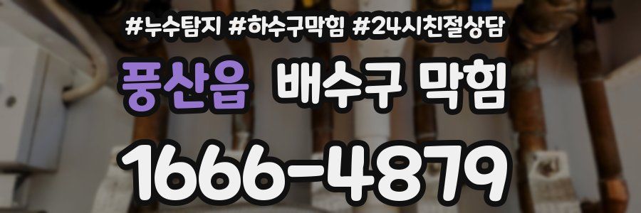 풍산읍 배수구 막힘