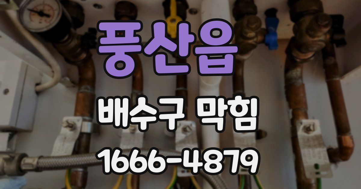풍산읍 배수구 막힘