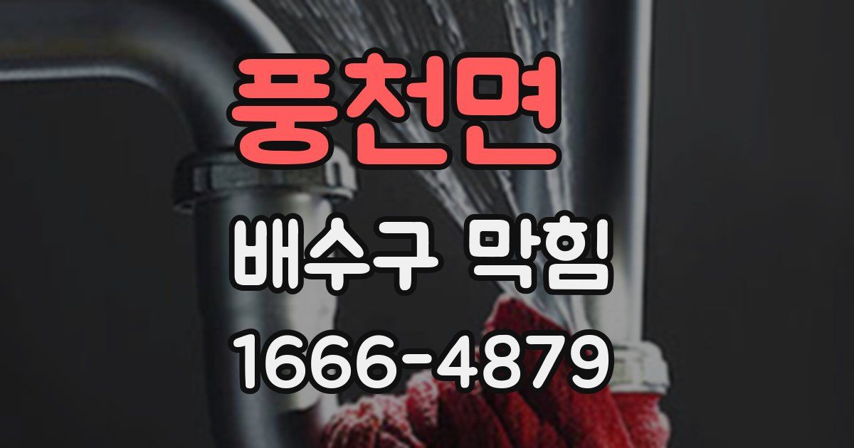 풍천면 배수구 막힘