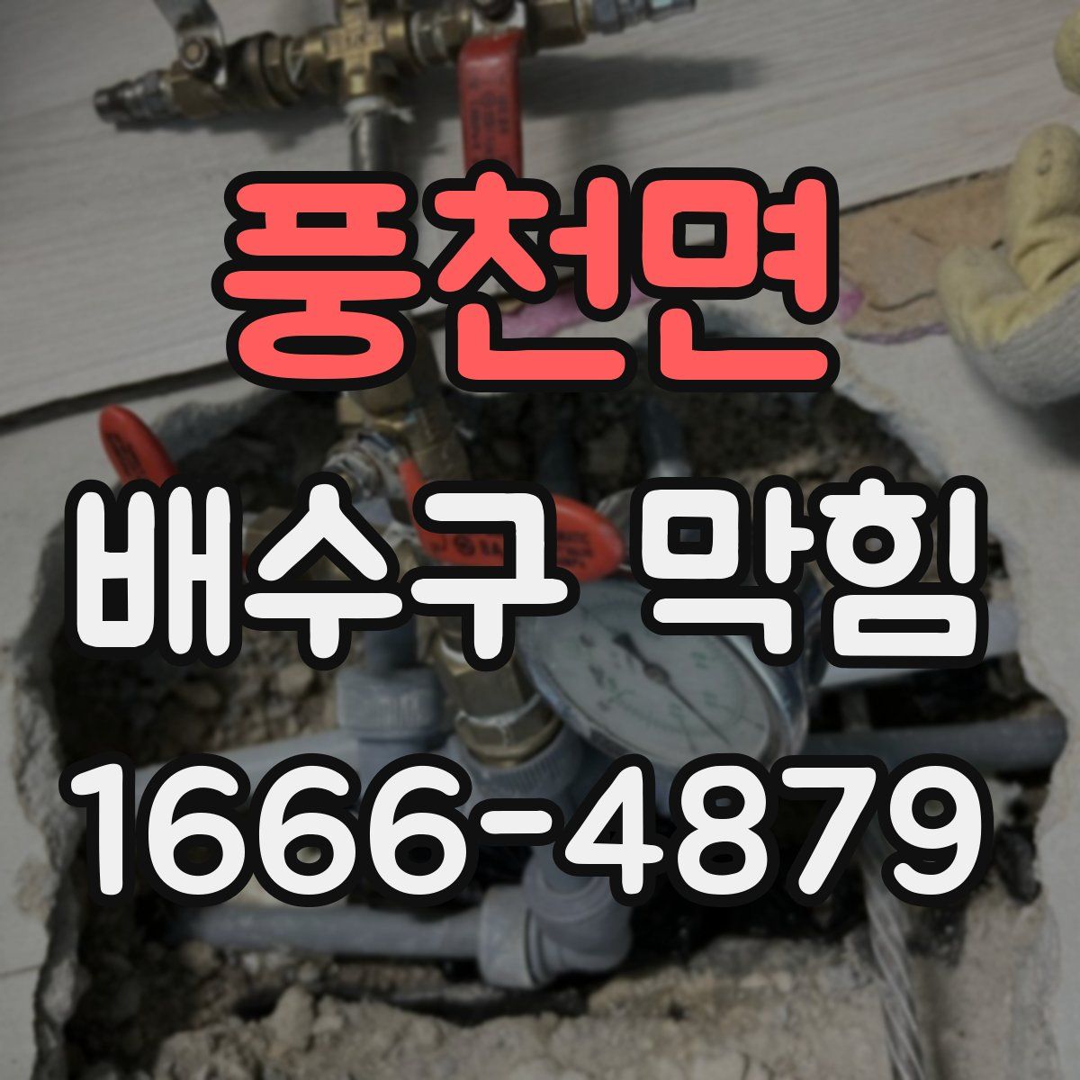 풍천면 배수구 막힘