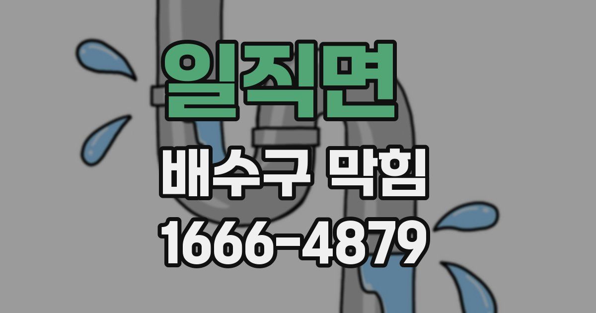 일직면 배수구 막힘