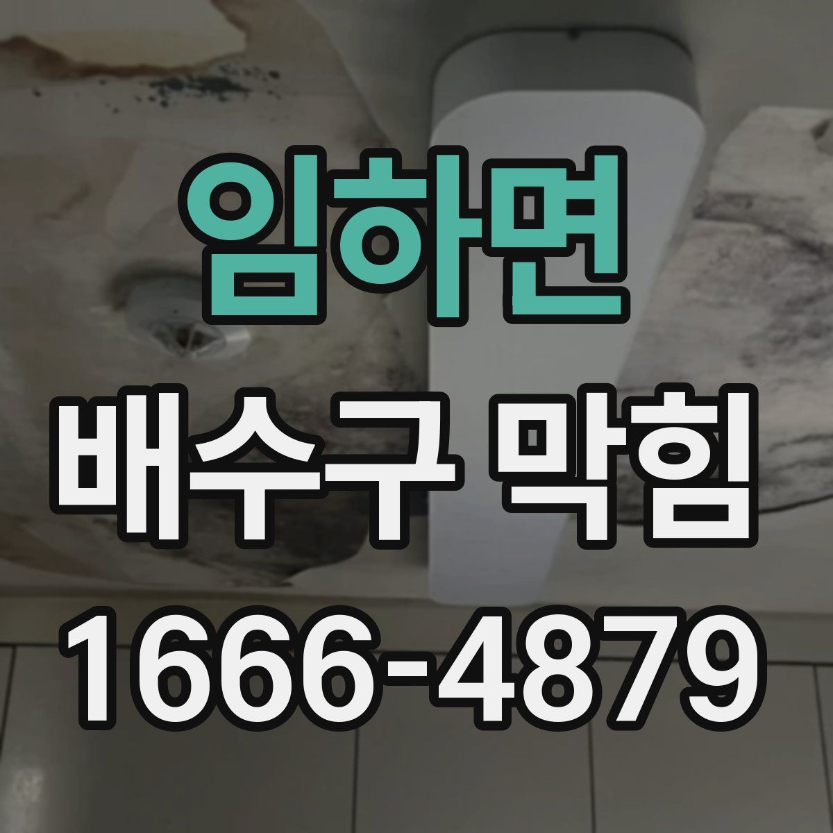 임하면 배수구 막힘