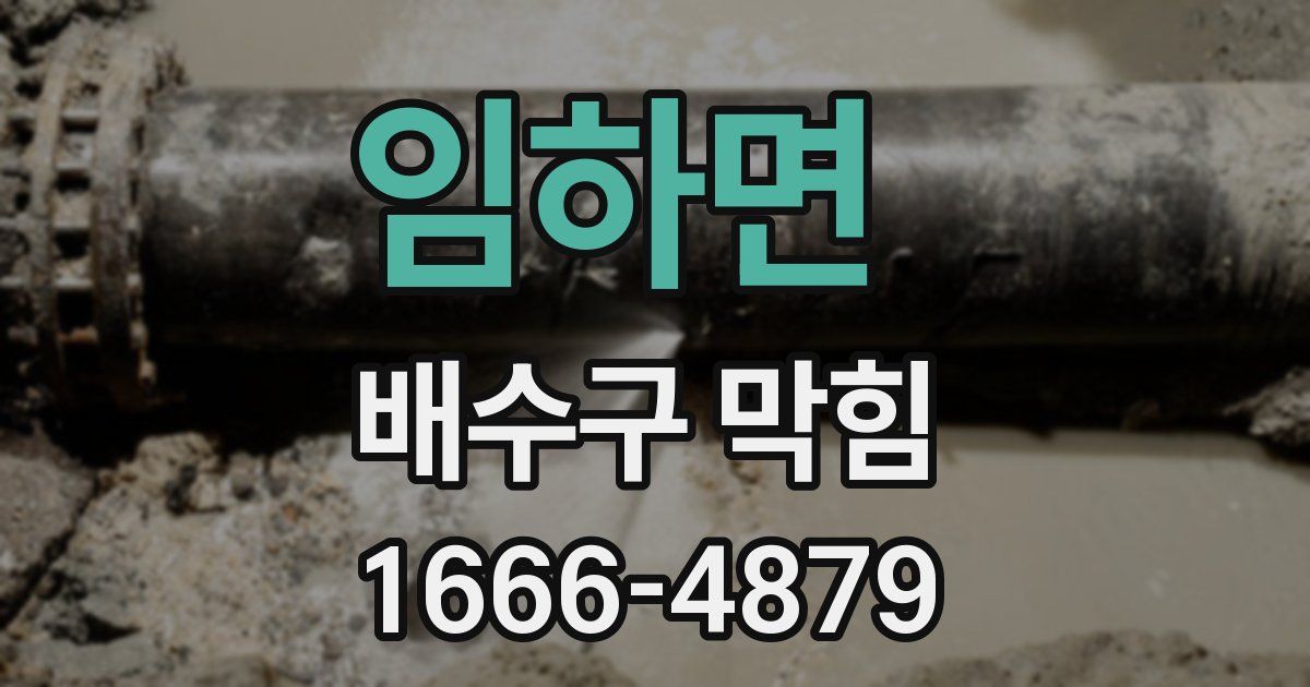 임하면 배수구 막힘