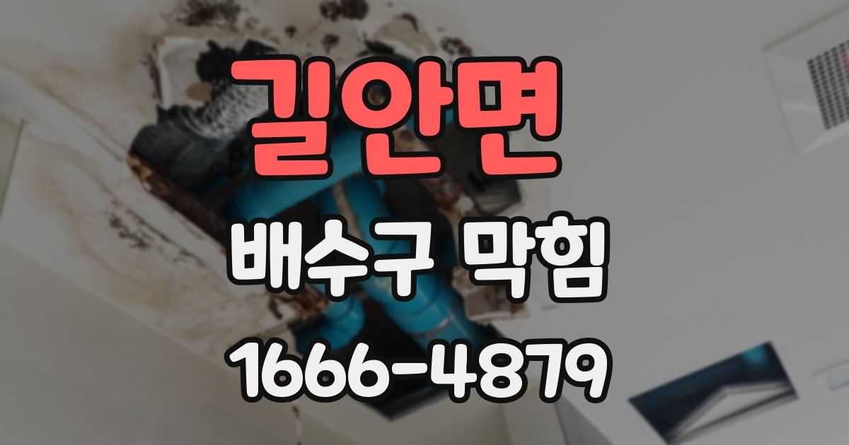 길안면 배수구 막힘