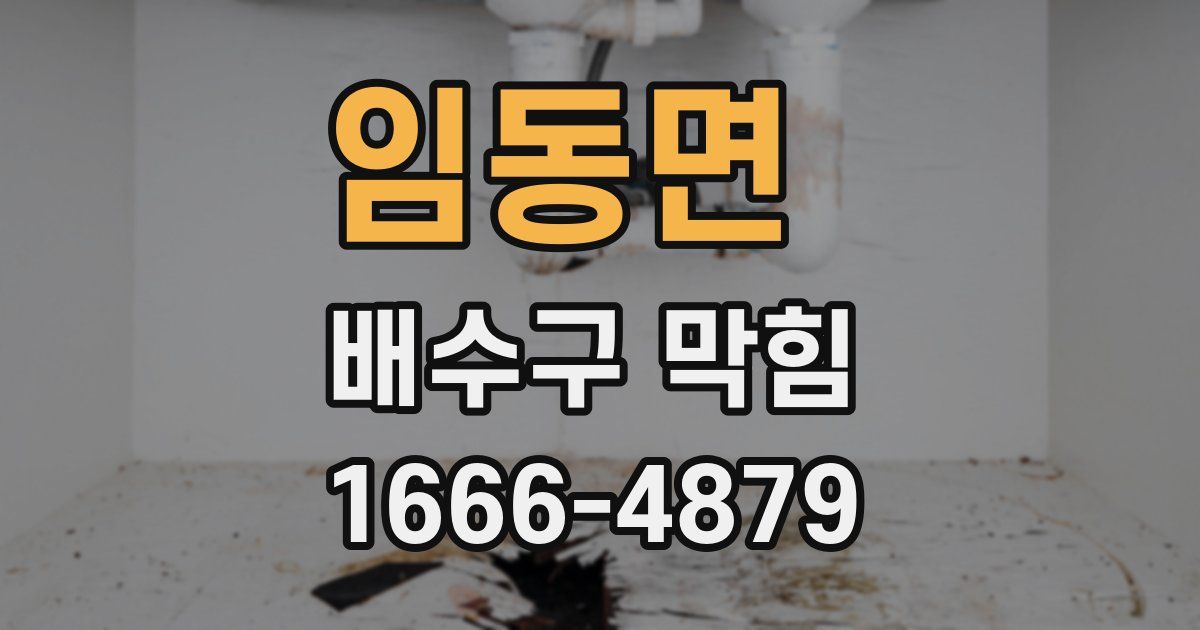 임동면 배수구 막힘