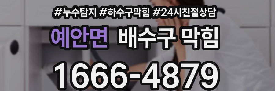 예안면 배수구 막힘
