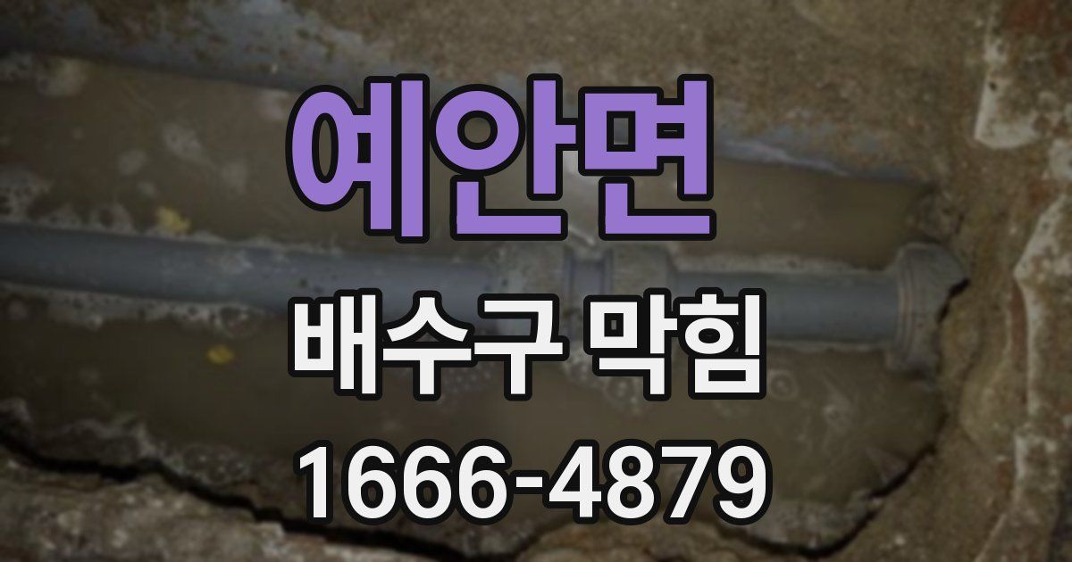 예안면 배수구 막힘
