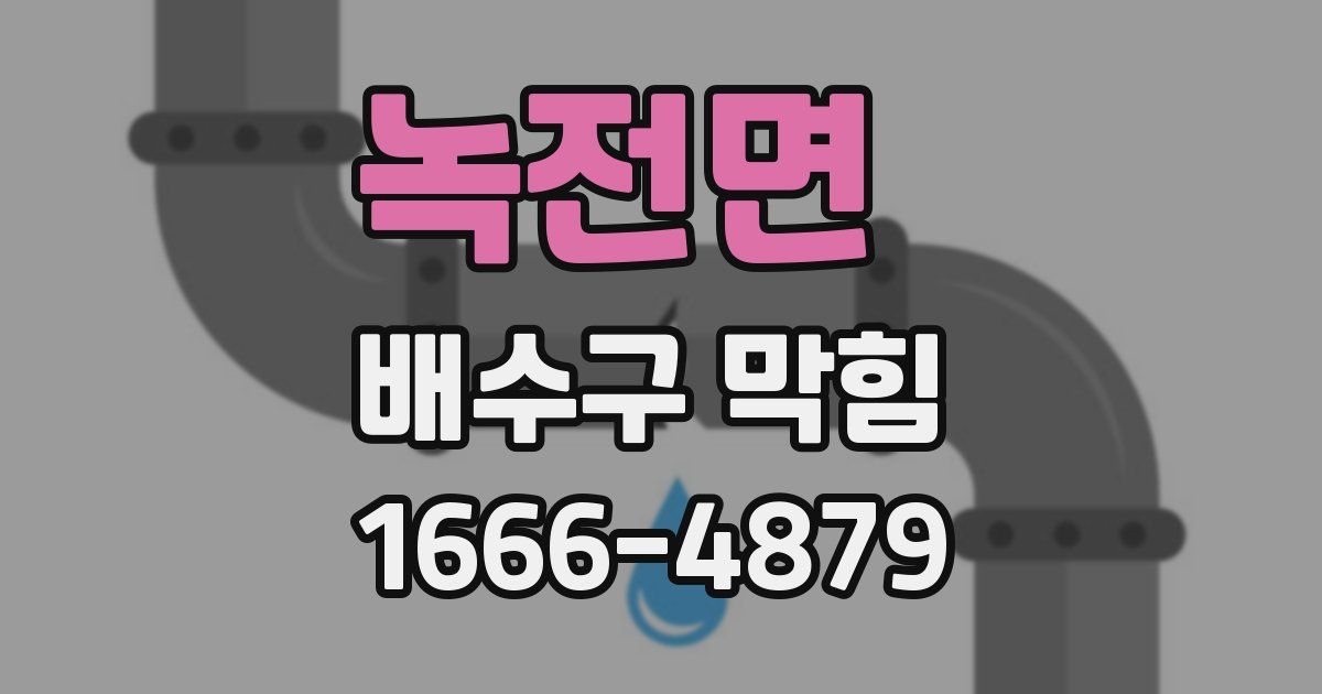 녹전면 배수구 막힘