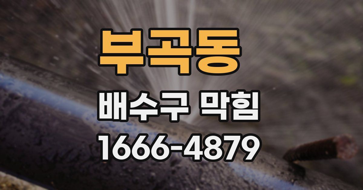 부곡동 배수구 막힘