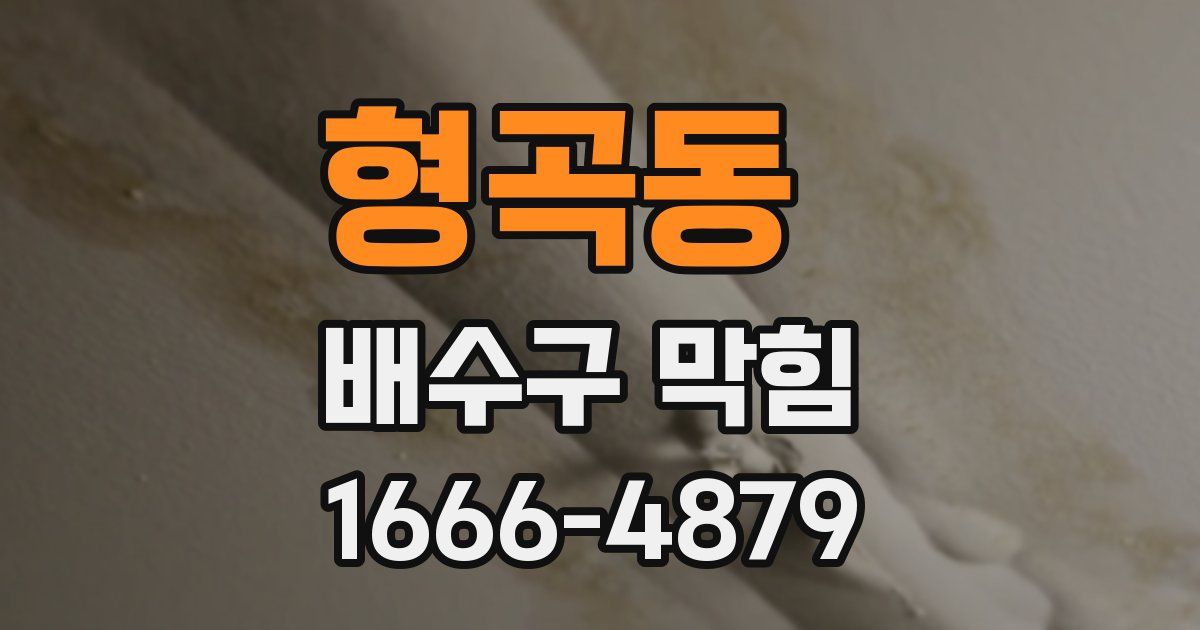 형곡동 배수구 막힘