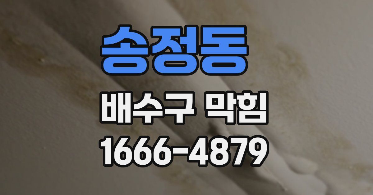 송정동 배수구 막힘