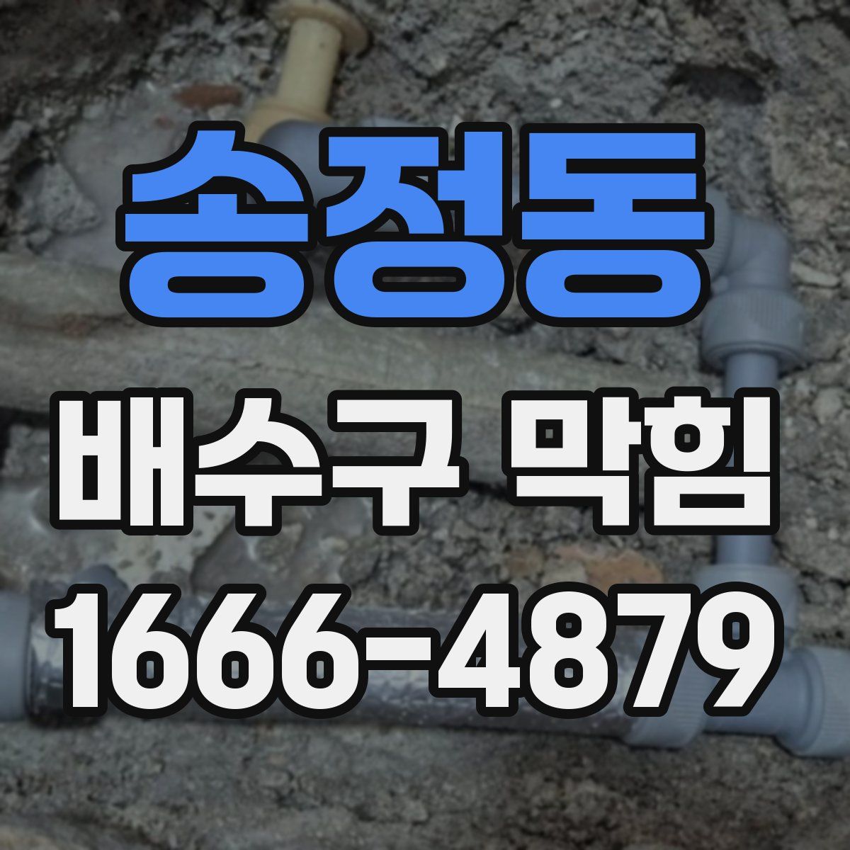 송정동 배수구 막힘