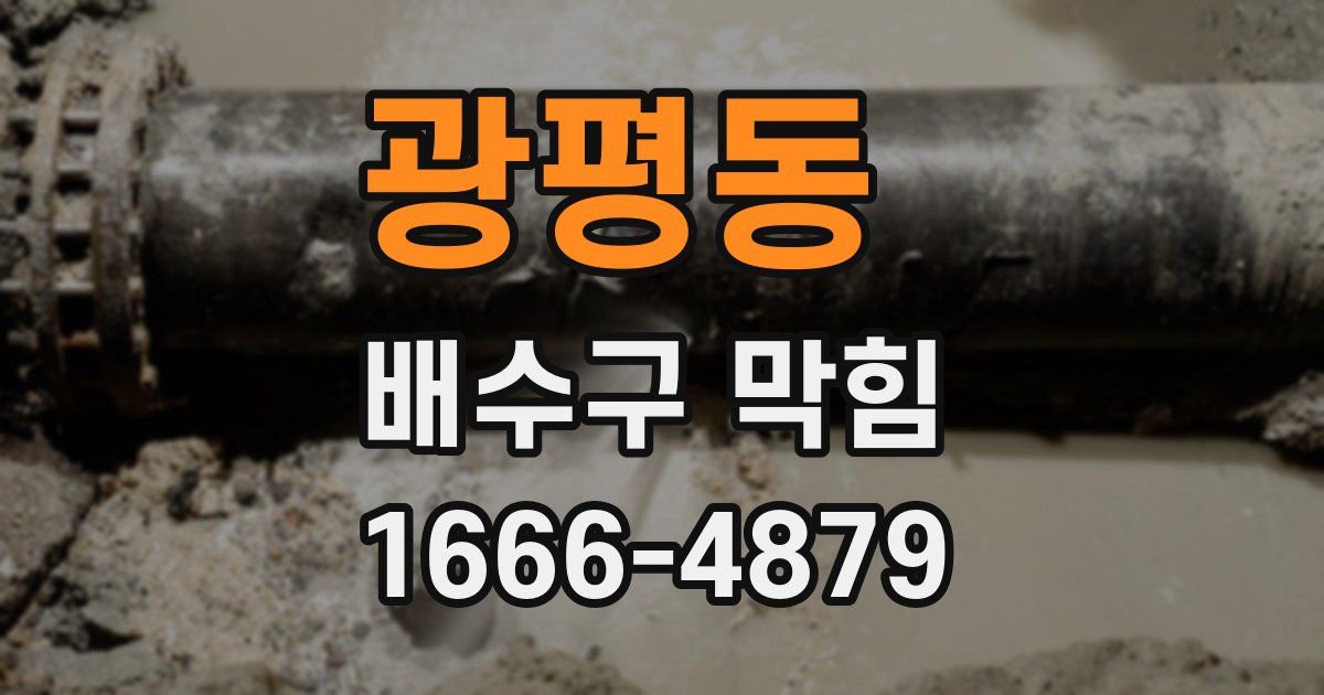 광평동 배수구 막힘