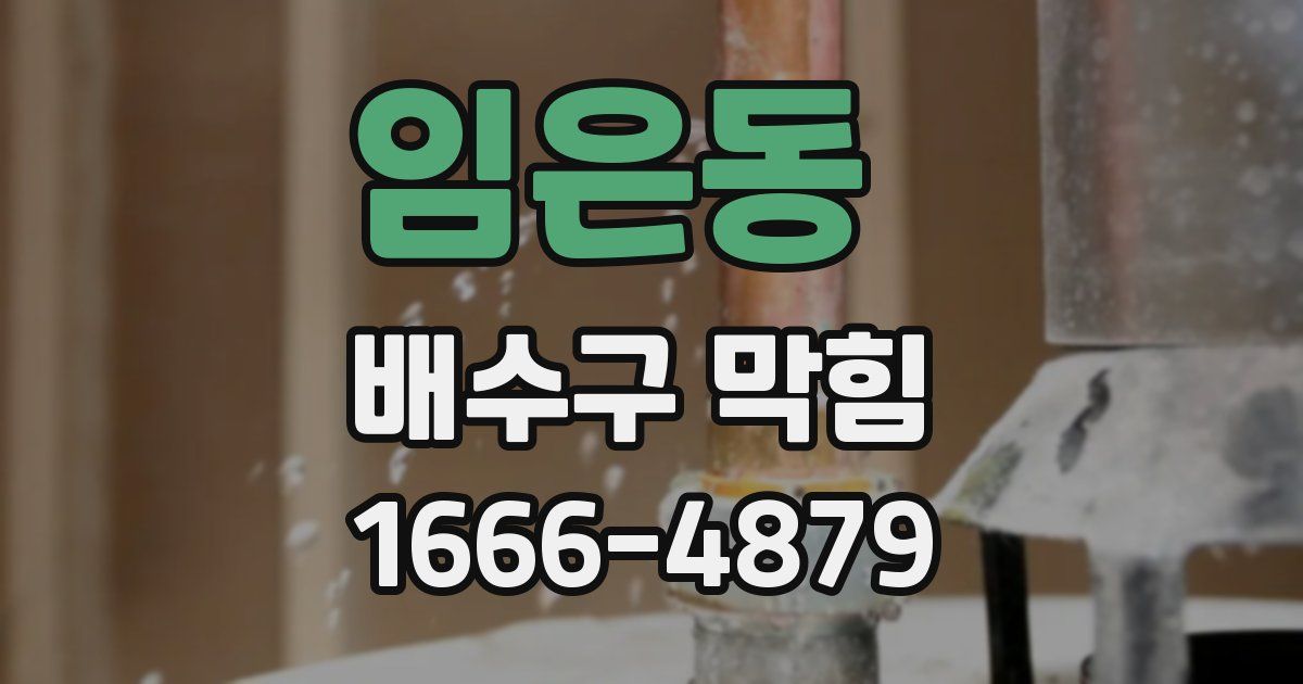 임은동 배수구 막힘