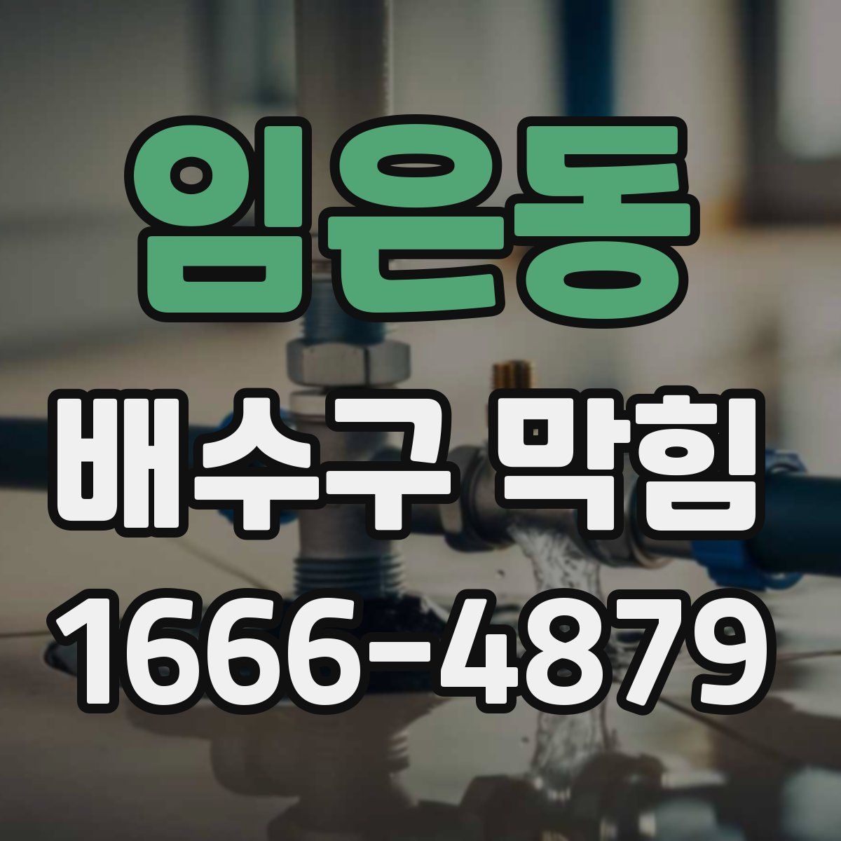 임은동 배수구 막힘
