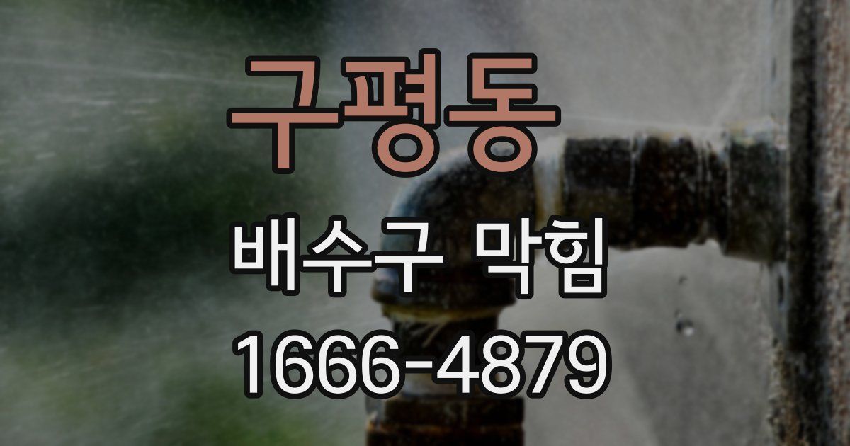 구평동 배수구 막힘