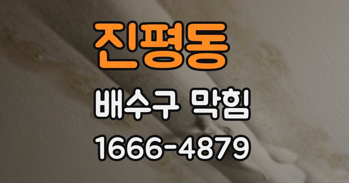 진평동 배수구 막힘