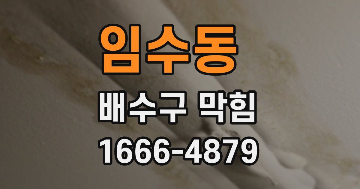 임수동 배수구 막힘