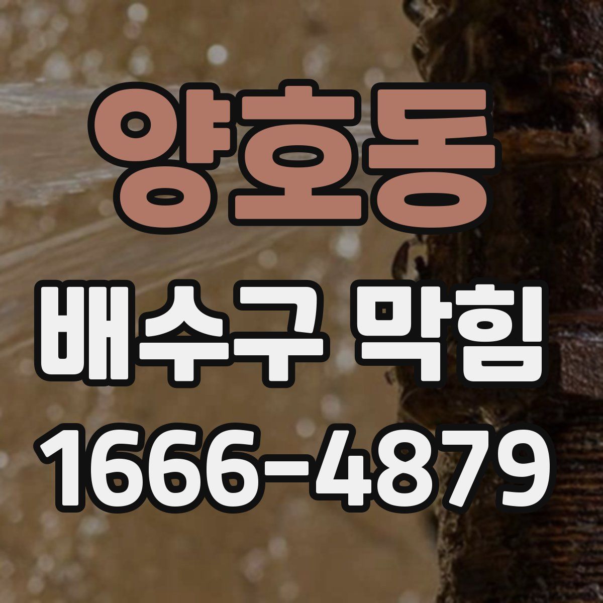 양호동 배수구 막힘