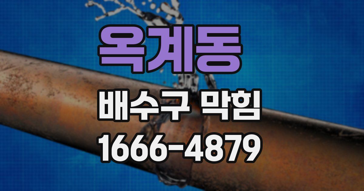 옥계동 배수구 막힘