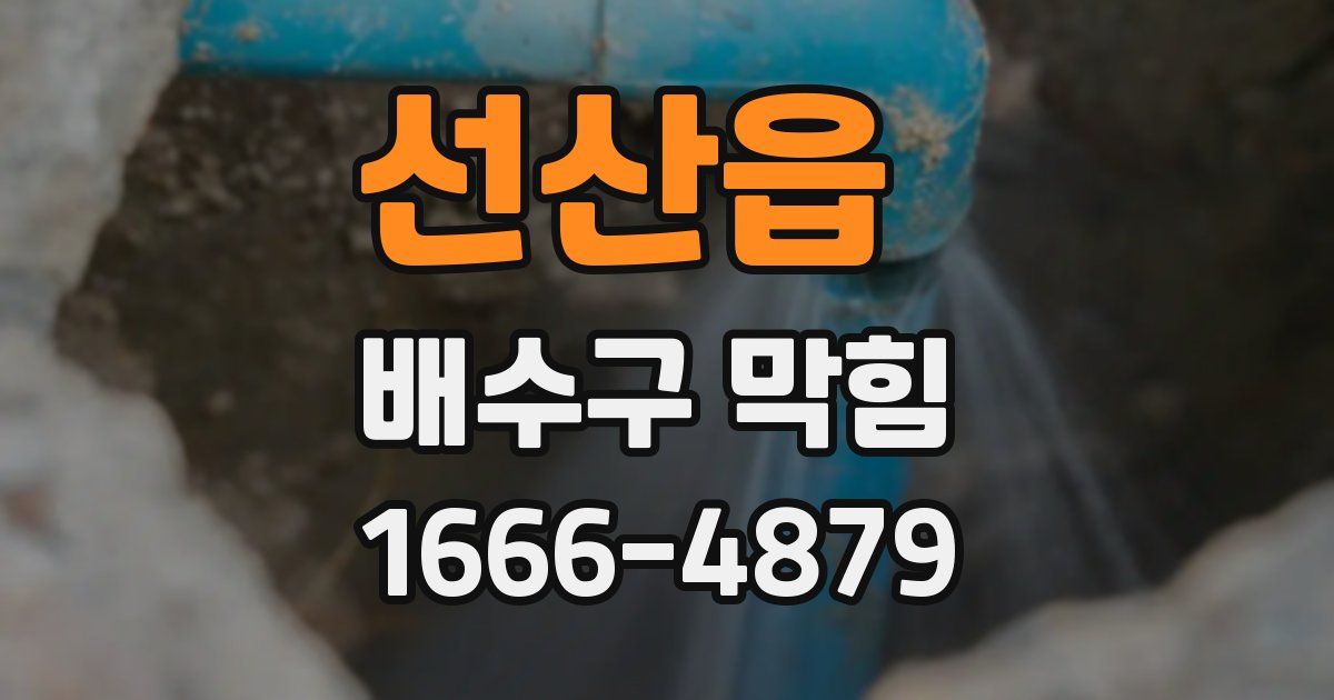 선산읍 배수구 막힘