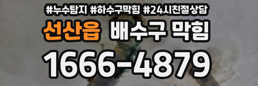 선산읍 배수구 막힘
