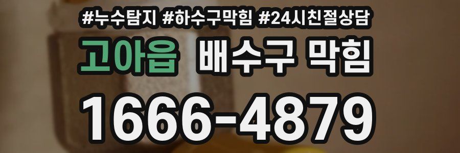 고아읍 배수구 막힘