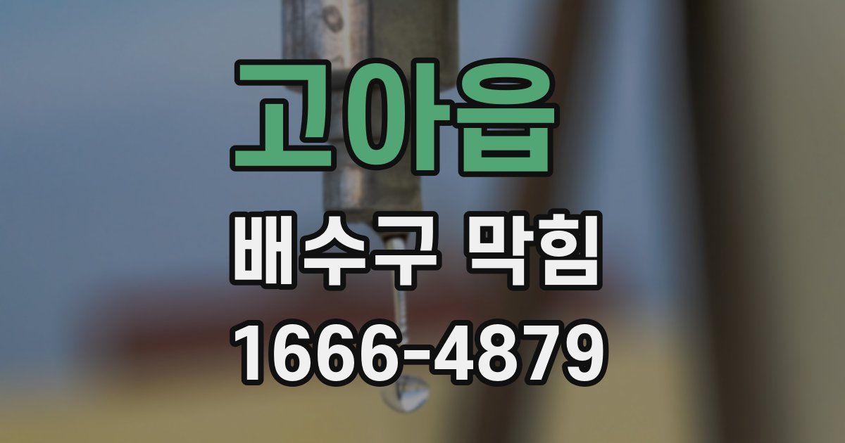 고아읍 배수구 막힘