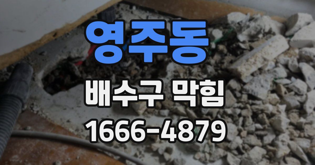 영주동 배수구 막힘