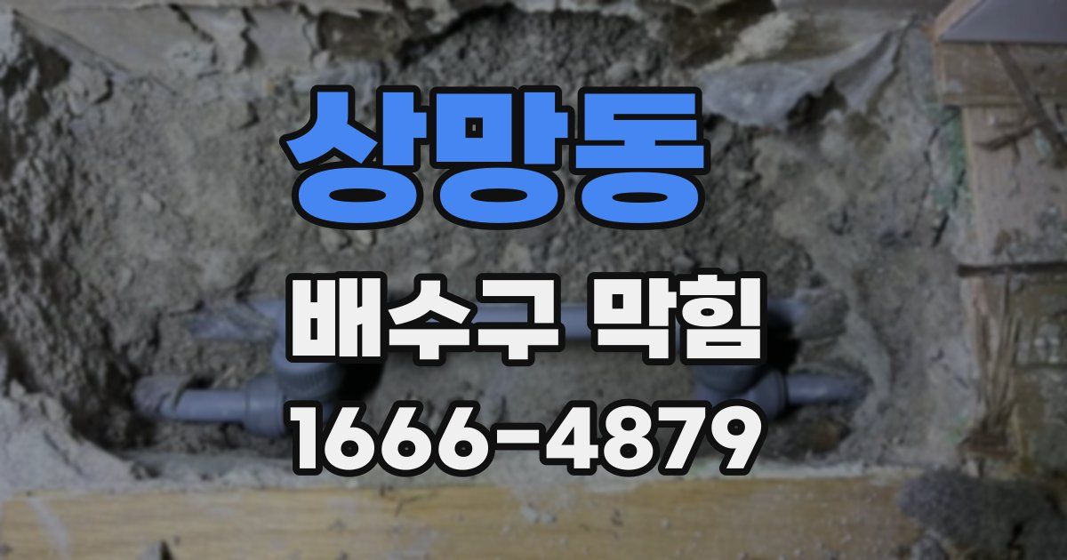 상망동 배수구 막힘