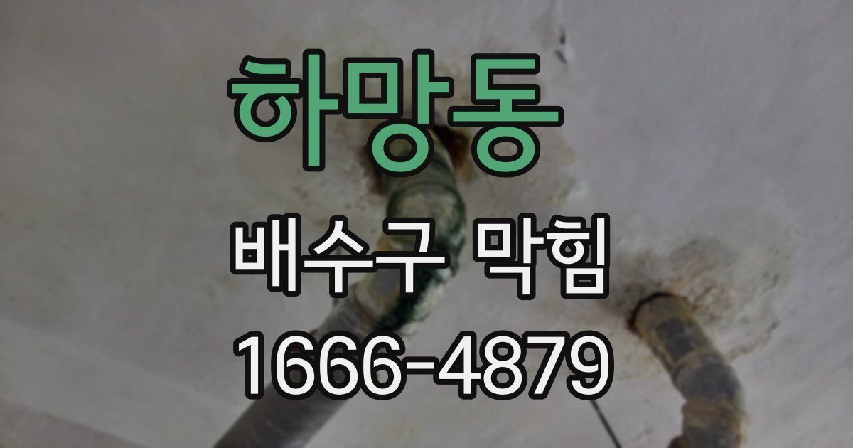 하망동 배수구 막힘