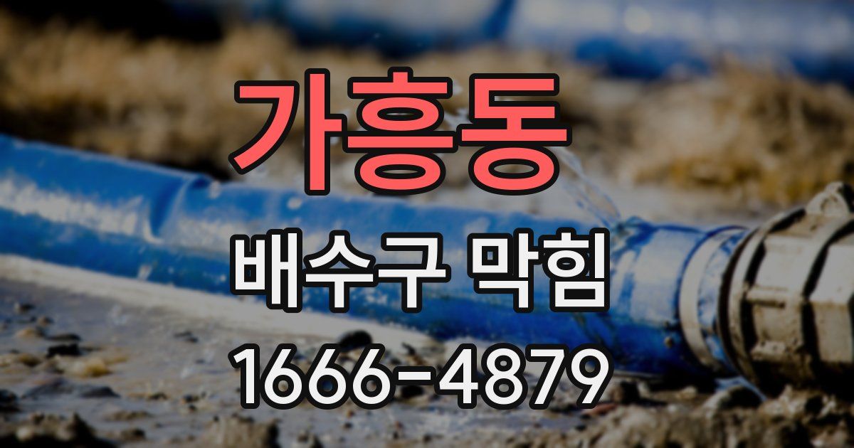 가흥동 배수구 막힘