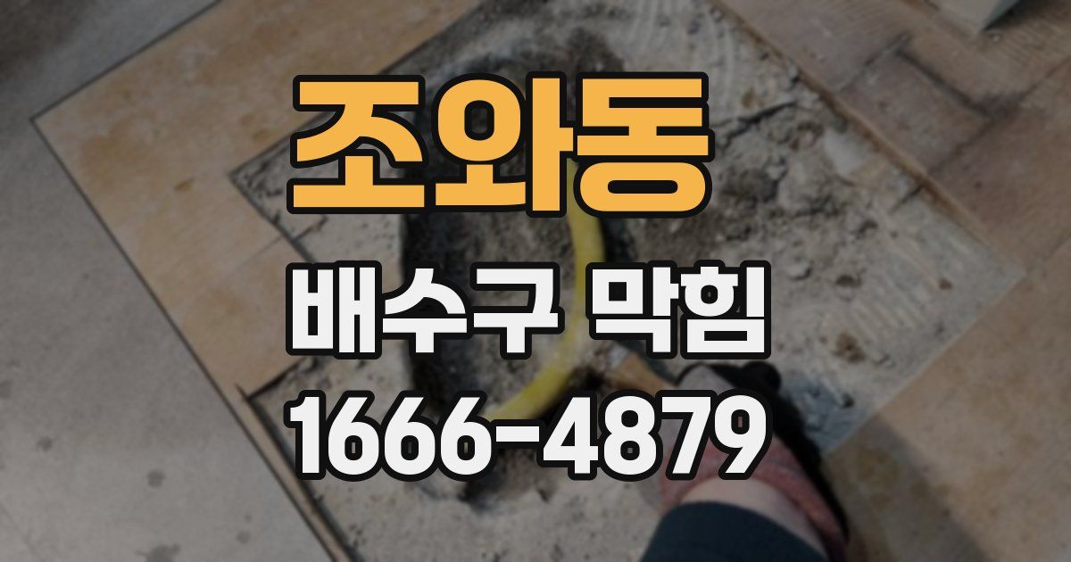 조와동 배수구 막힘