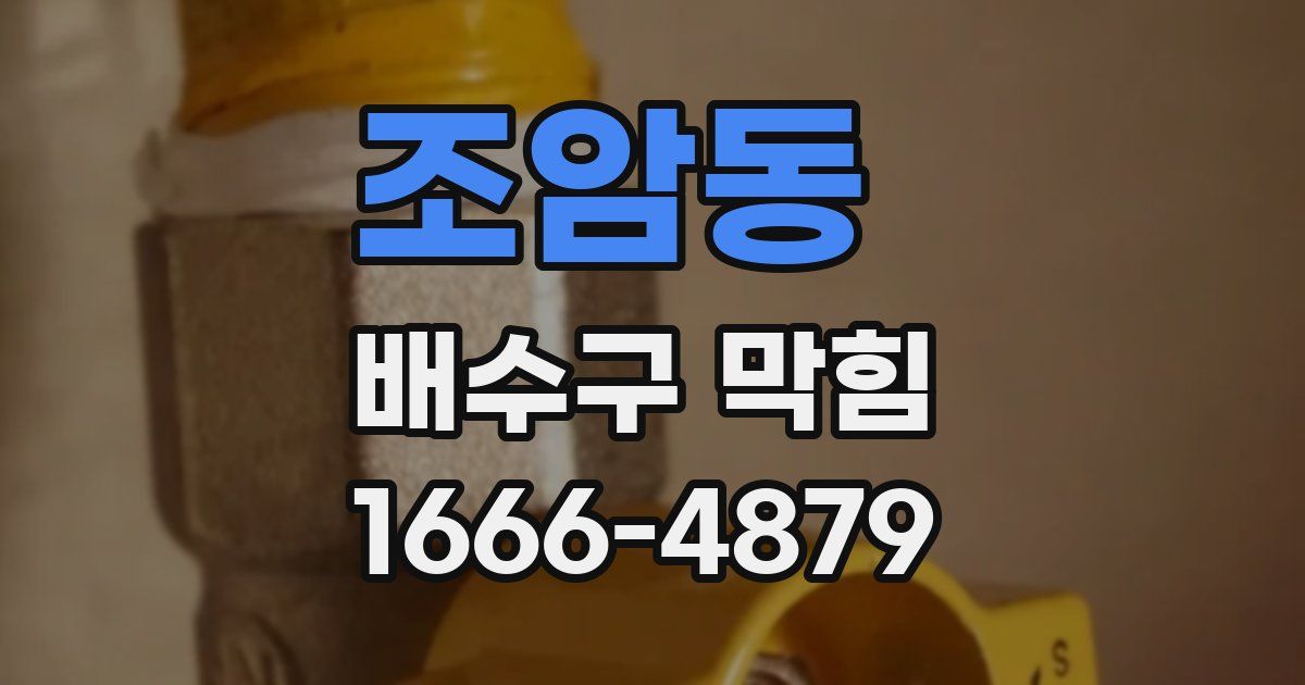 조암동 배수구 막힘