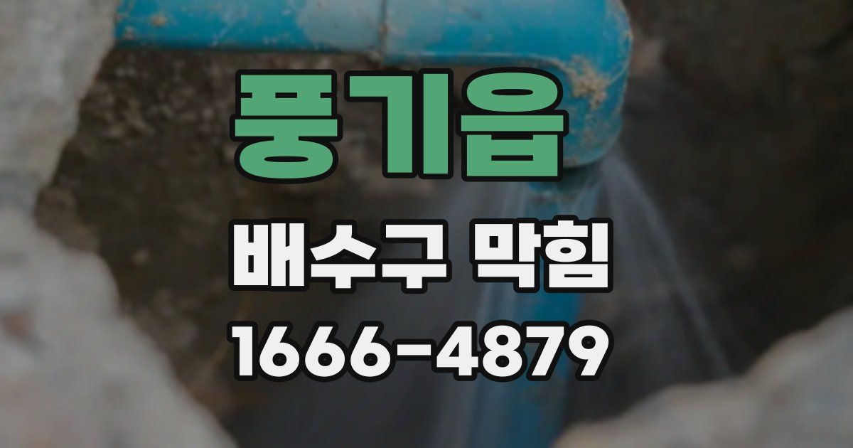 풍기읍 배수구 막힘
