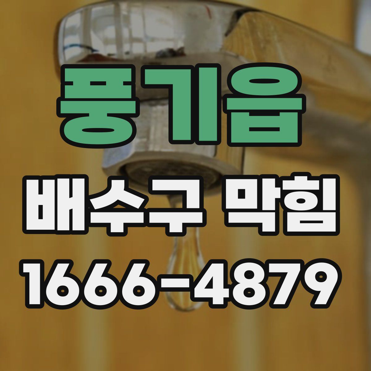 풍기읍 배수구 막힘
