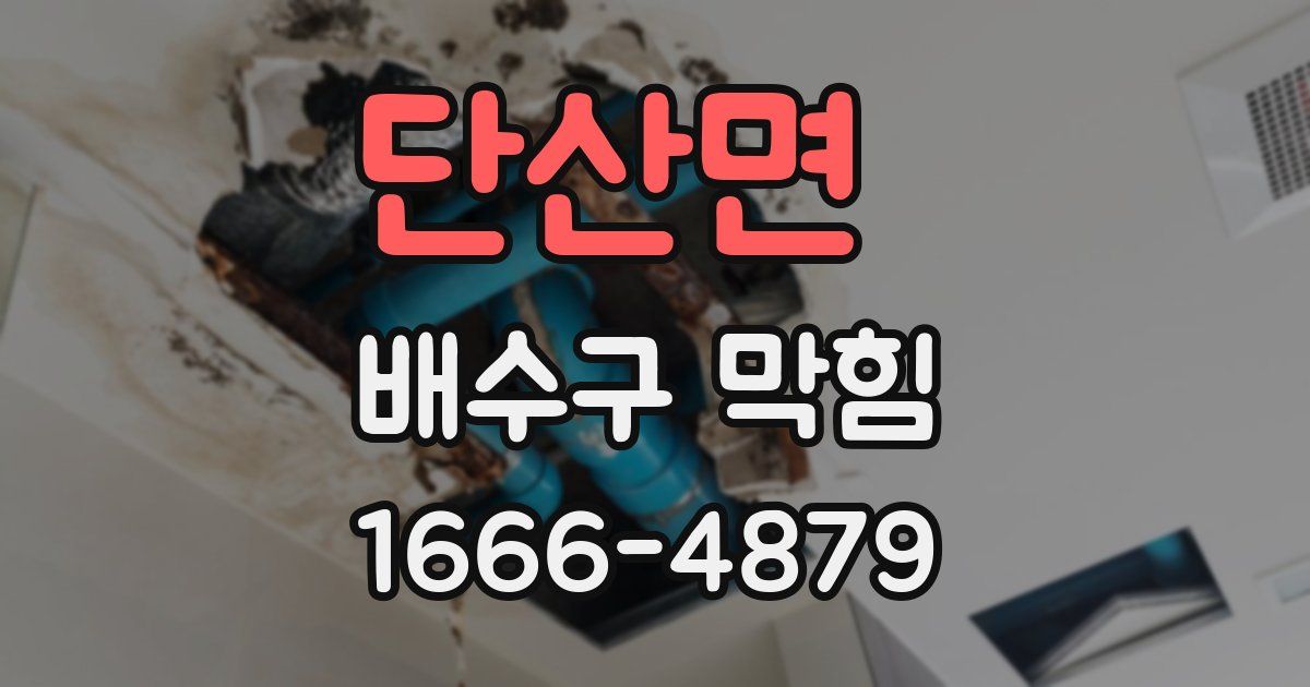 단산면 배수구 막힘
