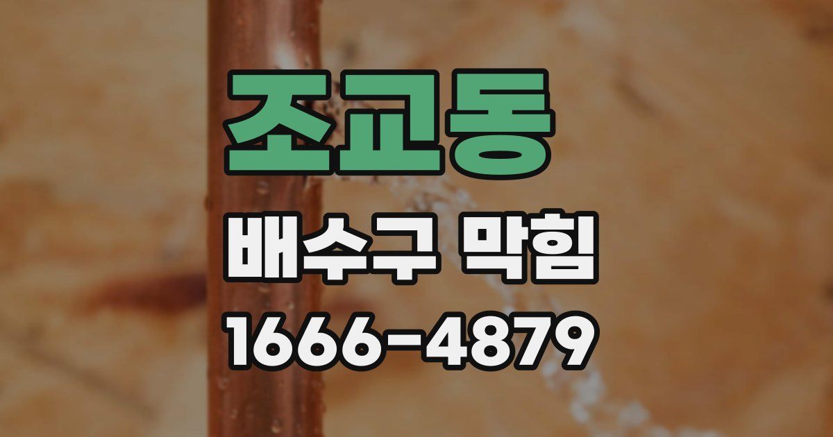 조교동 배수구 막힘