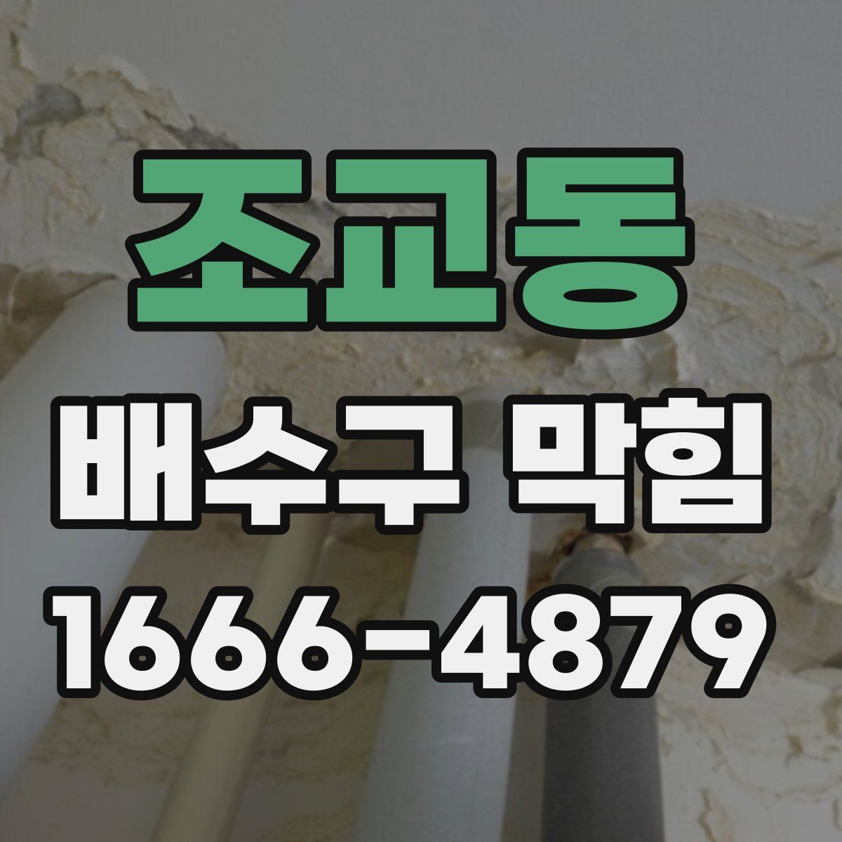 조교동 배수구 막힘