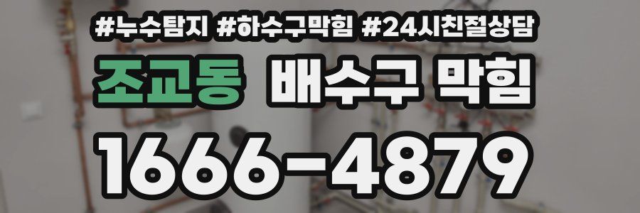 조교동 배수구 막힘