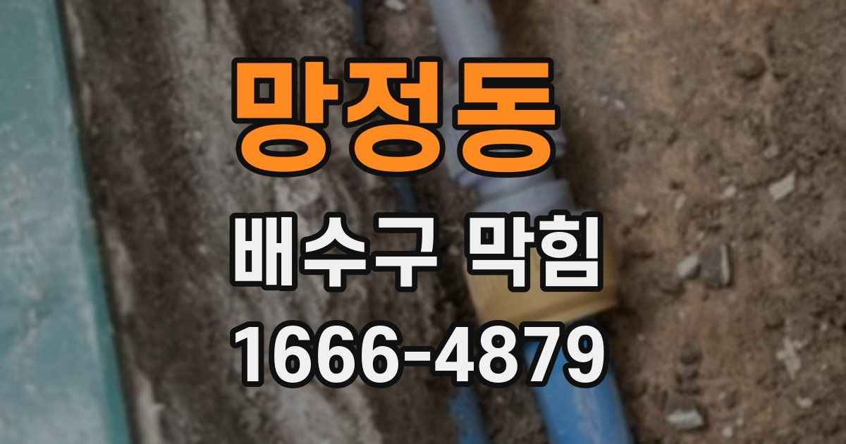 망정동 배수구 막힘