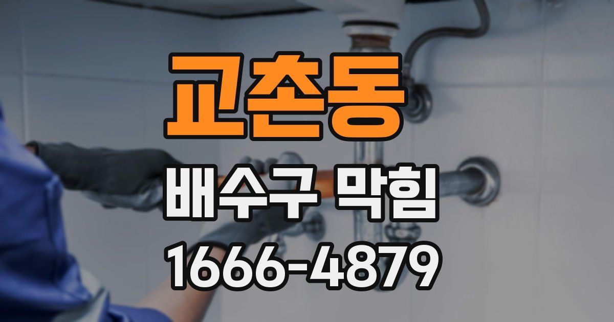 교촌동 배수구 막힘