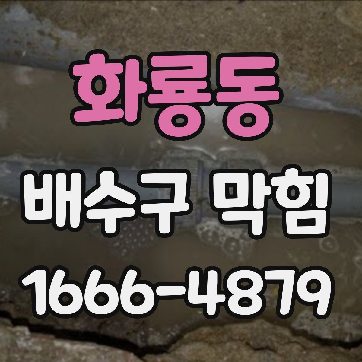 화룡동 배수구 막힘