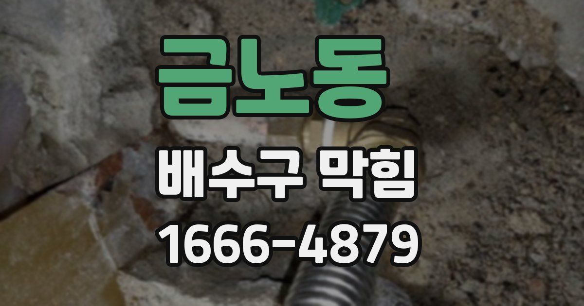 금노동 배수구 막힘