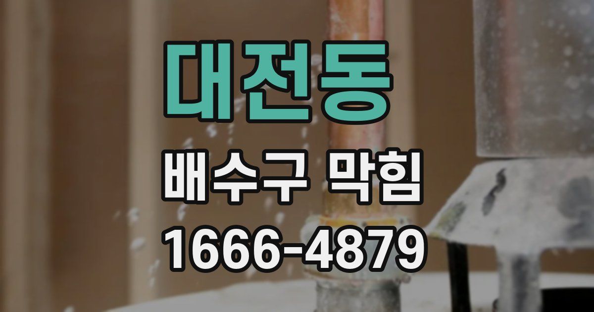 대전동 배수구 막힘