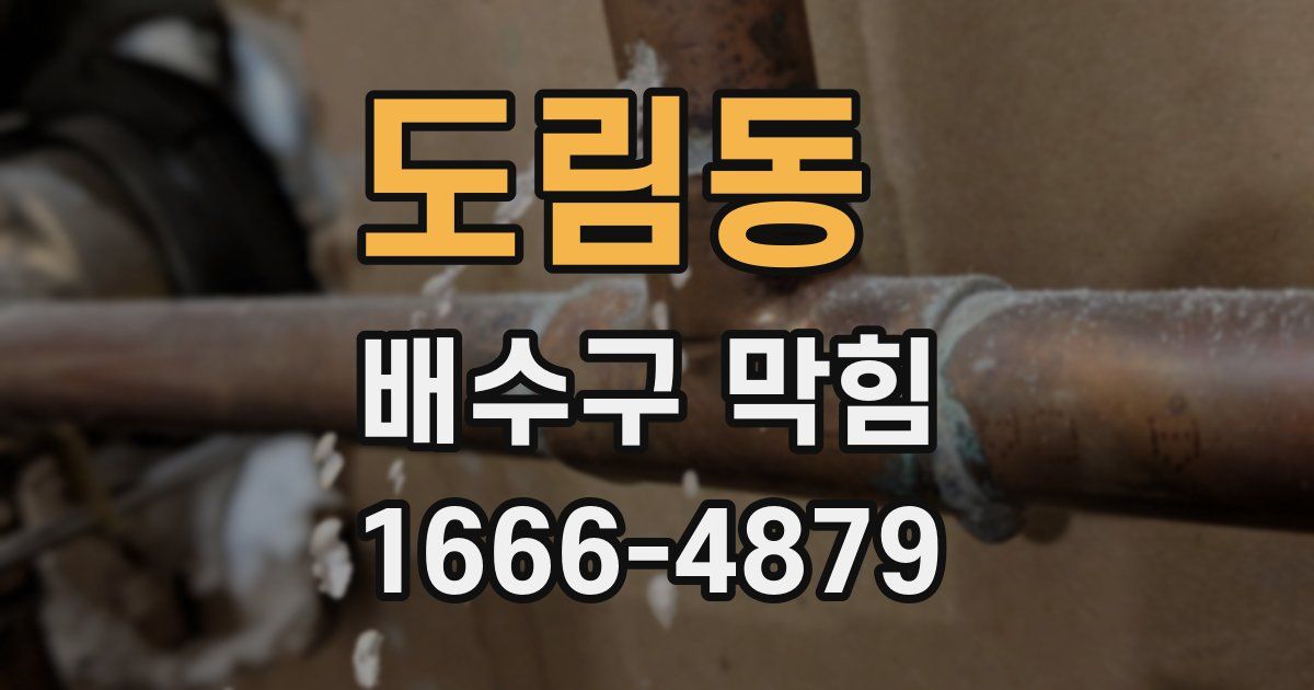 도림동 배수구 막힘