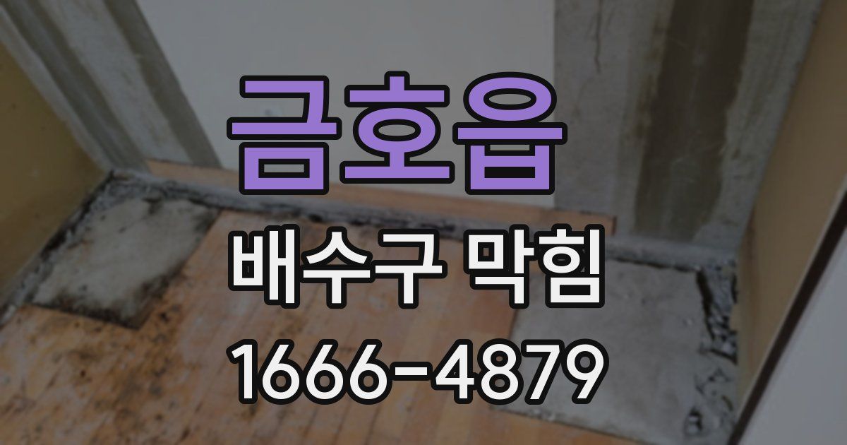 금호읍 배수구 막힘