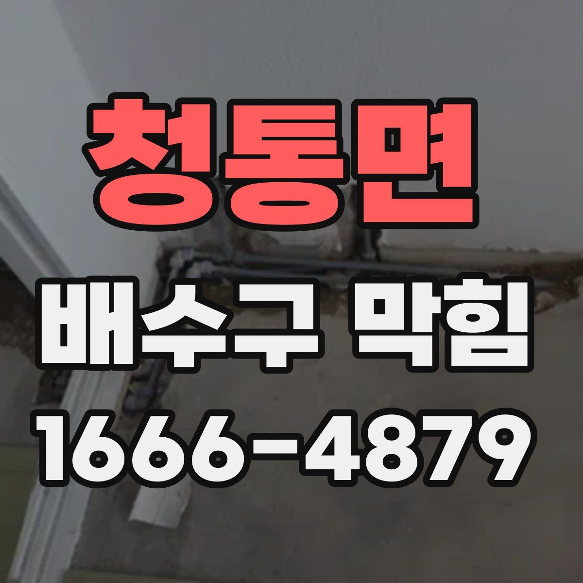 청통면 배수구 막힘