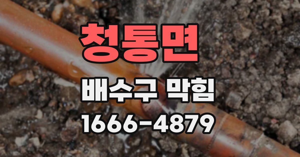 청통면 배수구 막힘