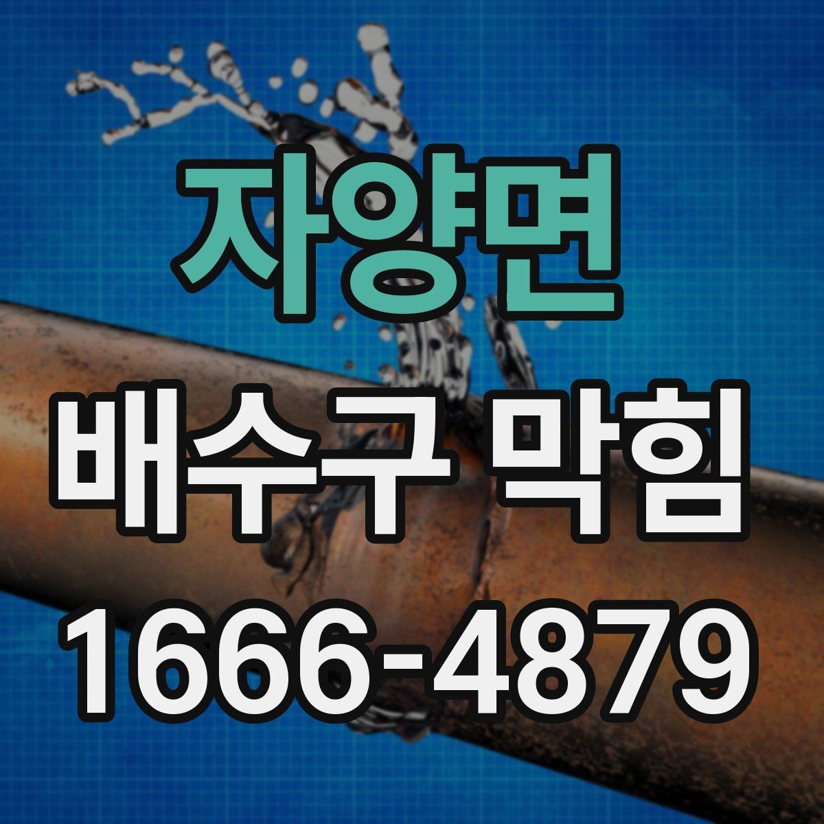 자양면 배수구 막힘